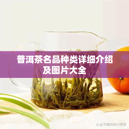 普洱茶名品种类详细介绍及图片大全