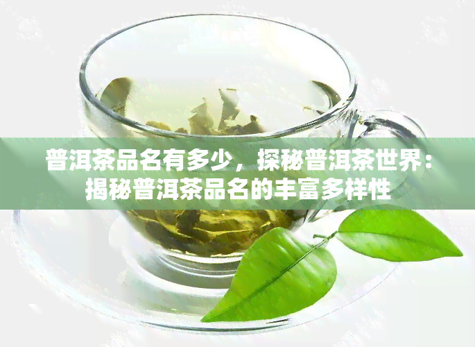 普洱茶品名有多少，探秘普洱茶世界：揭秘普洱茶品名的丰富多样性