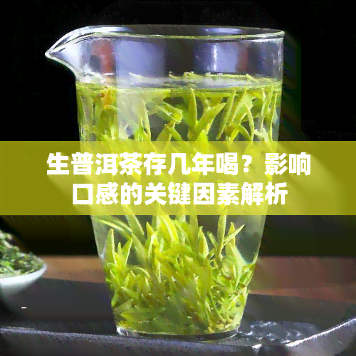 生普洱茶存几年喝？影响口感的关键因素解析