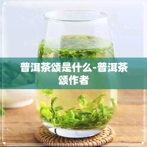 普洱茶颂是什么-普洱茶颂作者