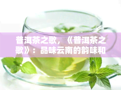 普洱茶之歌，《普洱茶之歌》：品味云南的韵味和文化