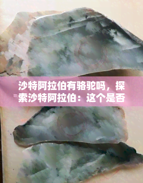 沙特 *** 有骆驼吗，探索沙特 *** ：这个是否真的拥有骆驼？