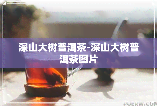 深山大树普洱茶-深山大树普洱茶图片