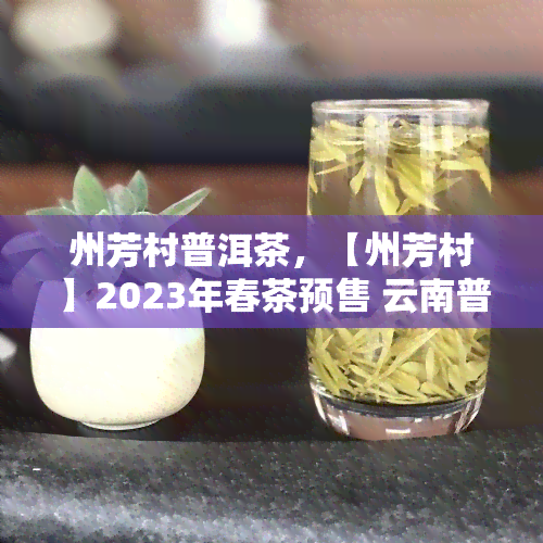 州芳村普洱茶，【州芳村】2023年春茶预售 云南普洱茶叶 新会陈皮 茶叶罐装礼盒装特级七子饼茶 收藏送礼佳品 东潮汕地区专享