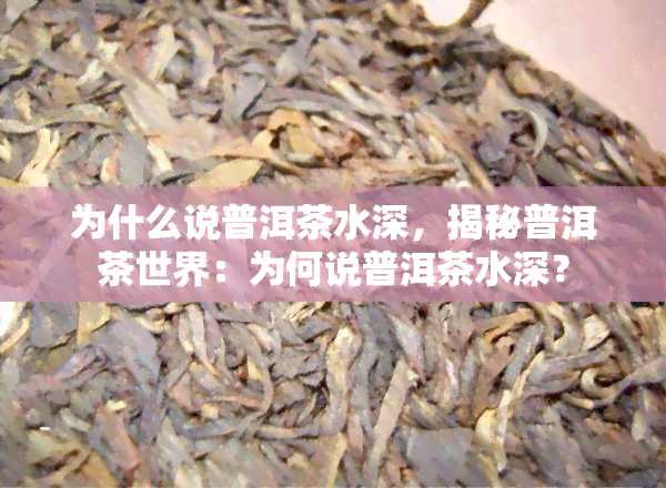 为什么说普洱茶水深，揭秘普洱茶世界：为何说普洱茶水深？