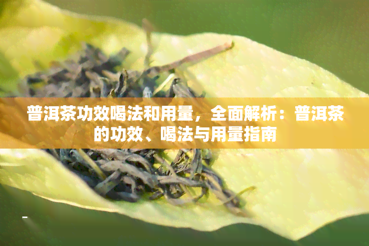 普洱茶功效喝法和用量，全面解析：普洱茶的功效、喝法与用量指南