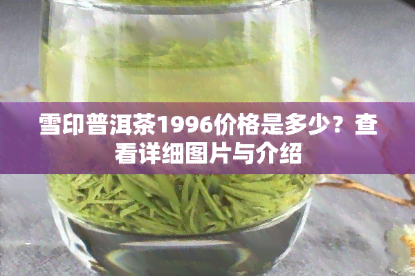 雪印普洱茶1996价格是多少？查看详细图片与介绍