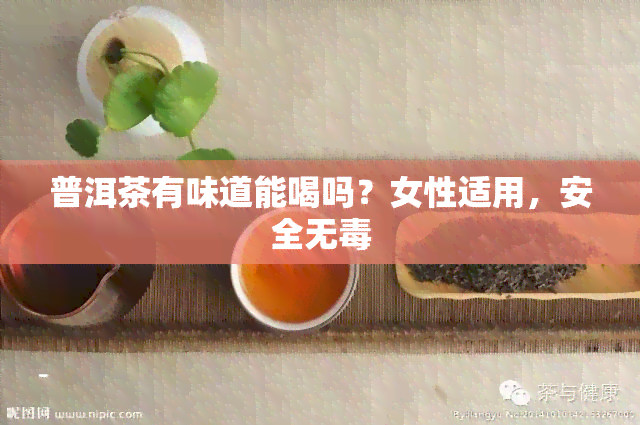 普洱茶有味道能喝吗？女性适用，安全无