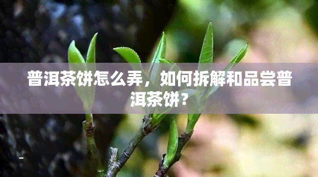 普洱茶饼怎么弄，如何拆解和品尝普洱茶饼？