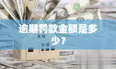 逾期罚款金额是多少？