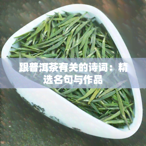 跟普洱茶有关的诗词：精选名句与作品