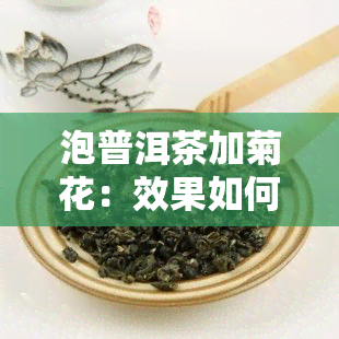 泡普洱茶加菊花：效果如何？可以同时饮用吗？