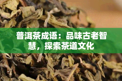 普洱茶成语：品味古老智慧，探索茶道文化