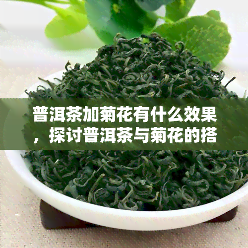 普洱茶加菊花有什么效果，探讨普洱茶与菊花的搭配效果