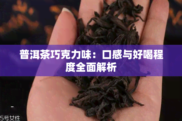 普洱茶巧克力味：口感与好喝程度全面解析