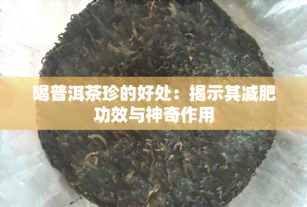 喝普洱茶珍的好处：揭示其减肥功效与神奇作用