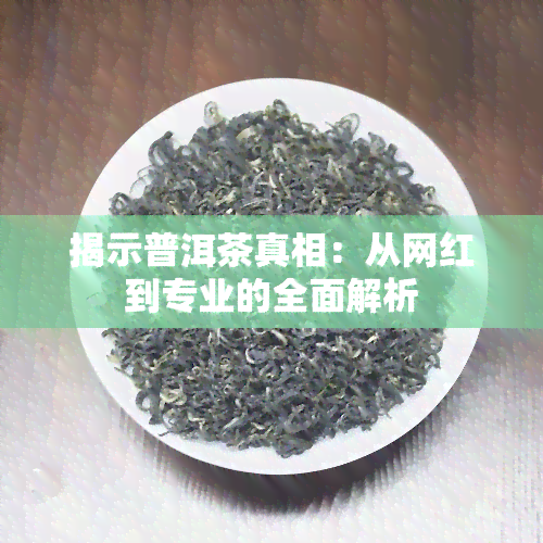 揭示普洱茶真相：从网红到专业的全面解析