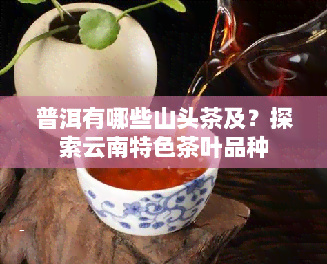 普洱有哪些山头茶及？探索云南特色茶叶品种