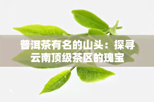 普洱茶有名的山头：探寻云南顶级茶区的瑰宝