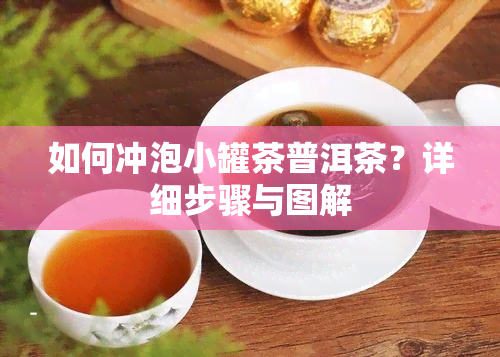 如何冲泡小罐茶普洱茶？详细步骤与图解