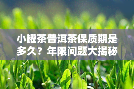 小罐茶普洱茶保质期是多久？年限问题大揭秘！