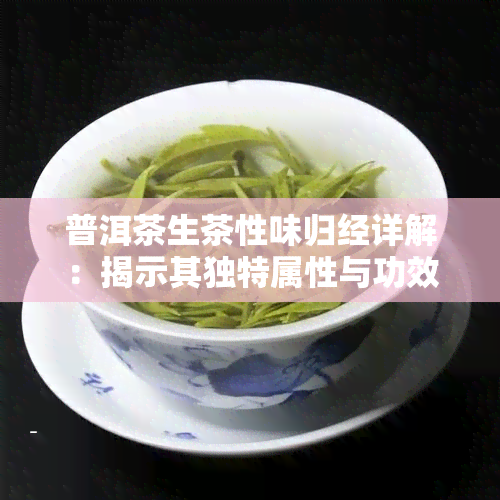 普洱茶生茶性味归经详解：揭示其独特属性与功效