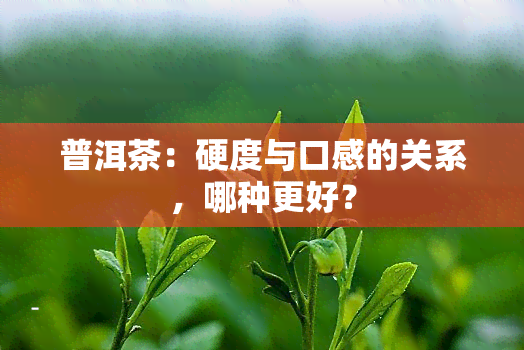 普洱茶：硬度与口感的关系，哪种更好？