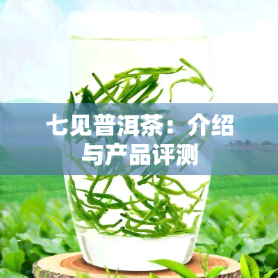 七见普洱茶：介绍与产品评测