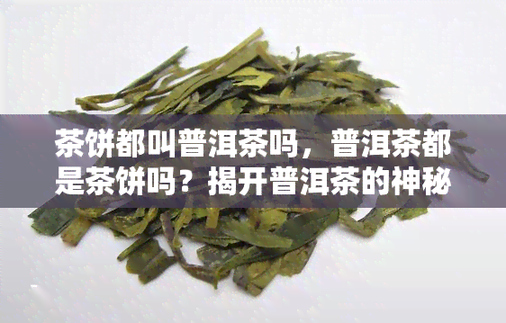 茶饼都叫普洱茶吗，普洱茶都是茶饼吗？揭开普洱茶的神秘面纱