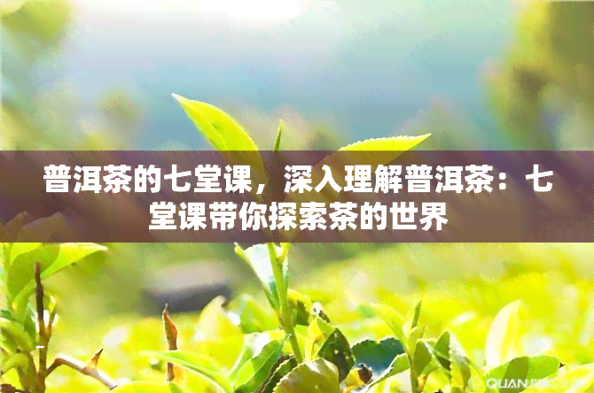 普洱茶的七堂课，深入理解普洱茶：七堂课带你探索茶的世界