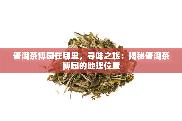 普洱茶博园在哪里，寻味之旅：揭秘普洱茶博园的地理位置