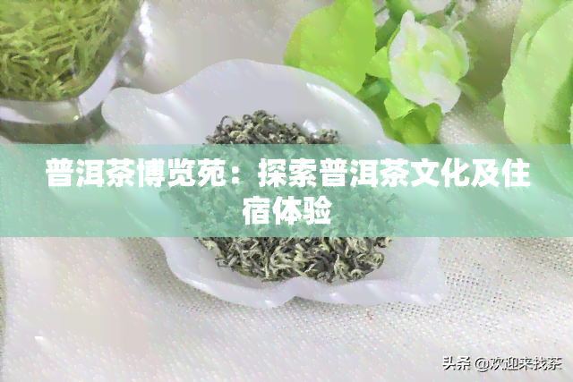 普洱茶博览苑：探索普洱茶文化及住宿体验