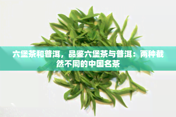 六堡茶和普洱，品鉴六堡茶与普洱：两种截然不同的中国名茶