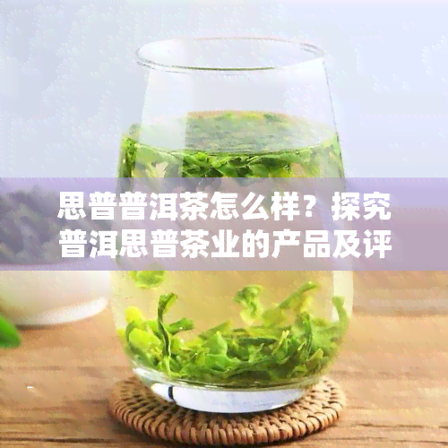 思普普洱茶怎么样？探究普洱思普茶业的产品及评价