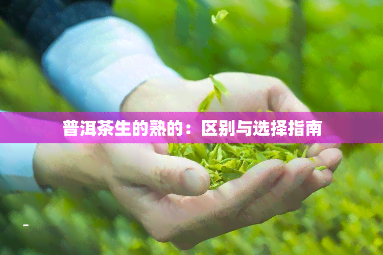 普洱茶生的熟的：区别与选择指南