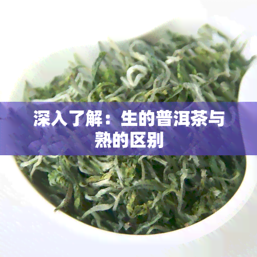 深入了解：生的普洱茶与熟的区别