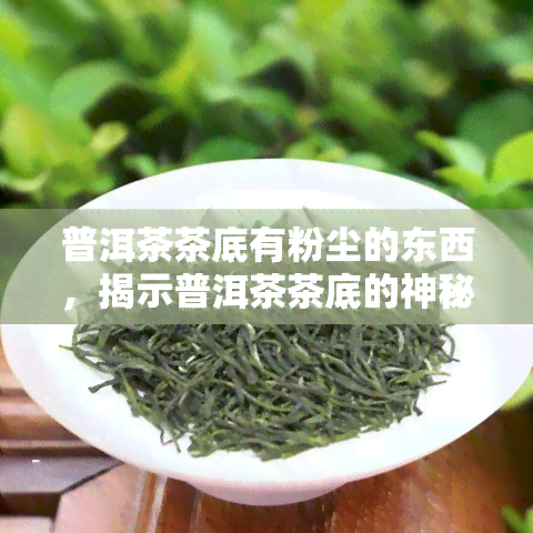 普洱茶茶底有粉尘的东西，揭示普洱茶茶底的神秘面纱：那些你不知道的粉尘物质