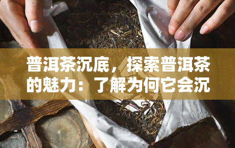 普洱茶沉底，探索普洱茶的魅力：了解为何它会沉底