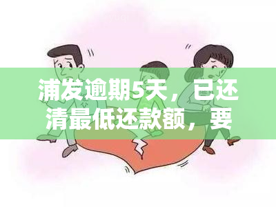 浦发逾期5天，已还清更低还款额，要求全部还清