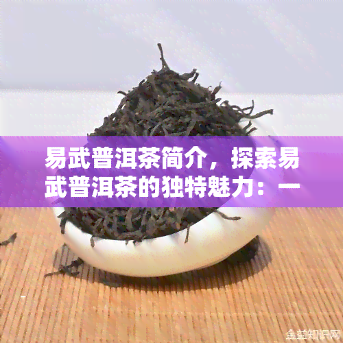 易武普洱茶简介，探索易武普洱茶的独特魅力：一次深入的介绍与解析