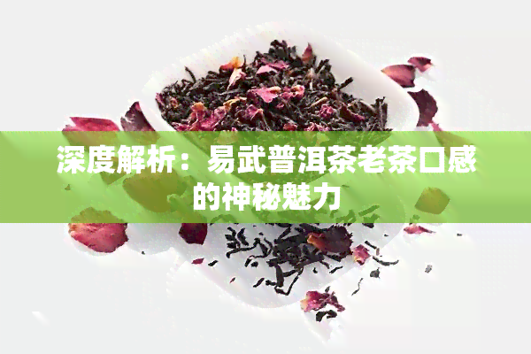 深度解析：易武普洱茶老茶口感的神秘魅力