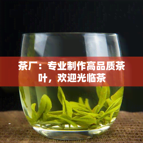 茶厂：专业制作高品质茶叶，欢迎光临茶