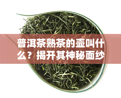 普洱茶熟茶的壶叫什么？揭开其神秘面纱