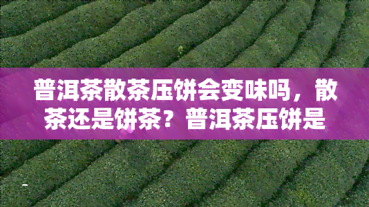 普洱茶散茶压饼会变味吗，散茶还是饼茶？普洱茶压饼是否会改变其口感与风味？