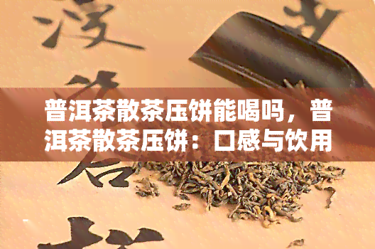 普洱茶散茶压饼能喝吗，普洱茶散茶压饼：口感与饮用方式的改变