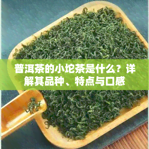 普洱茶的小坨茶是什么？详解其品种、特点与口感