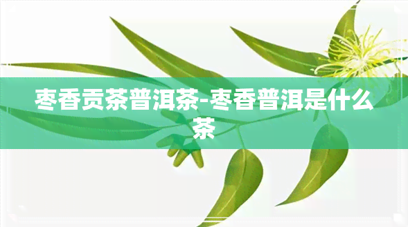 枣香贡茶普洱茶-枣香普洱是什么茶