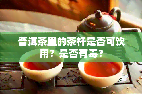 普洱茶里的茶杆是否可饮用？是否有？