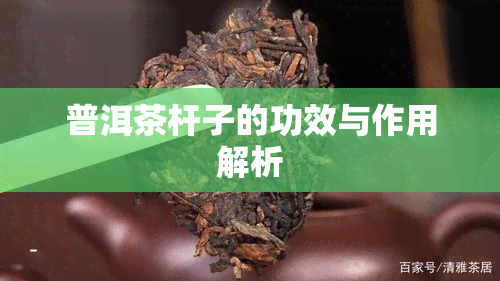 普洱茶杆子的功效与作用解析