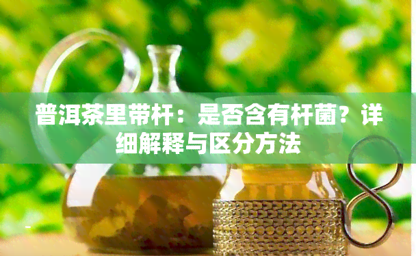 普洱茶里带杆：是否含有杆菌？详细解释与区分方法